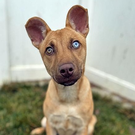 Riley — thumbnail 3