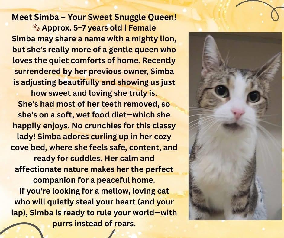 Simba photo 1