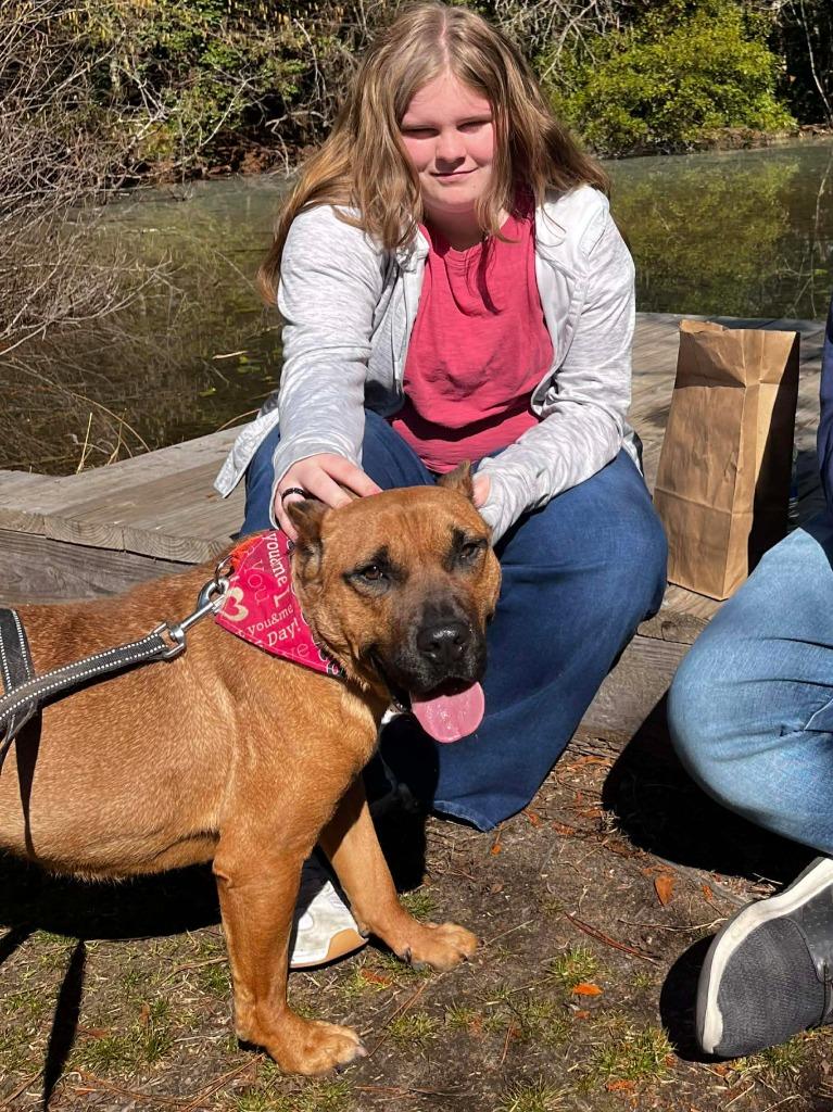 Enlarge Strider, a Adoptable mixed breed in Hartsville, SC image 2/6