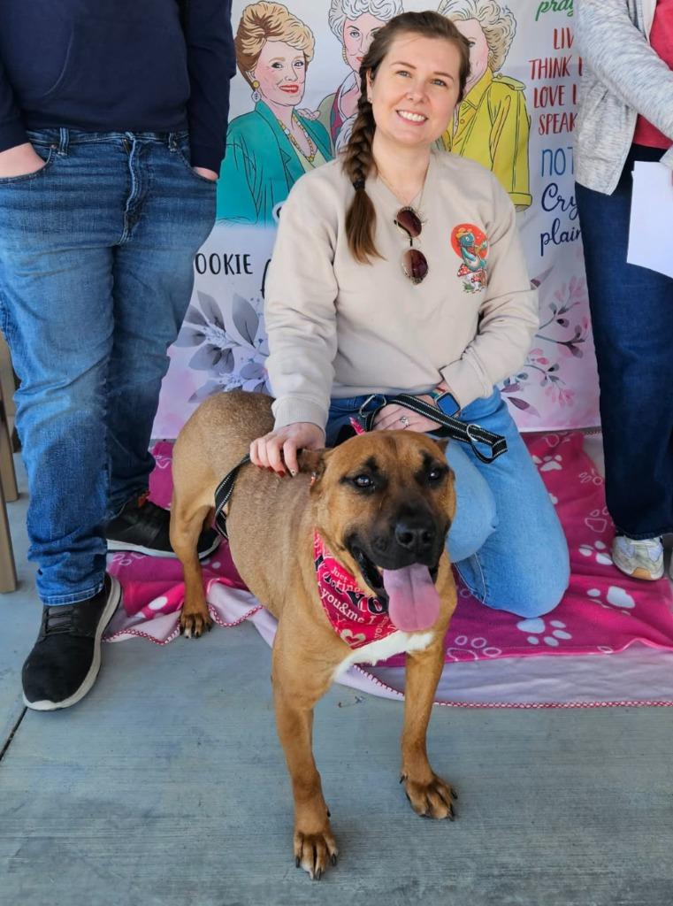 Enlarge Strider, a Adoptable mixed breed in Hartsville, SC image 4/6