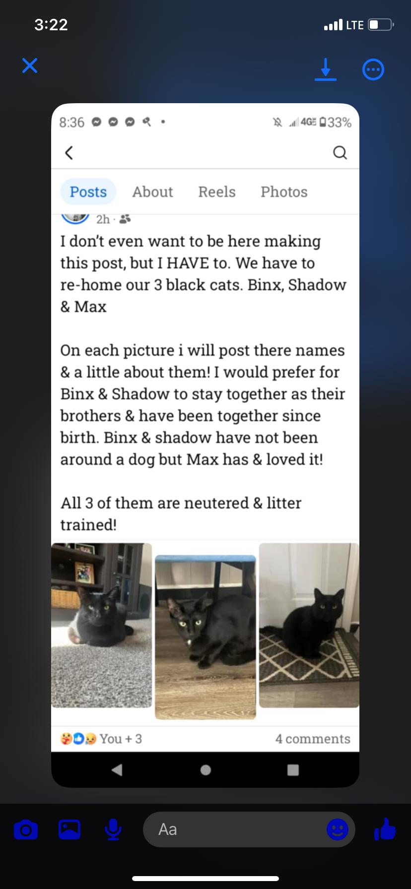 Bunk shadow And max