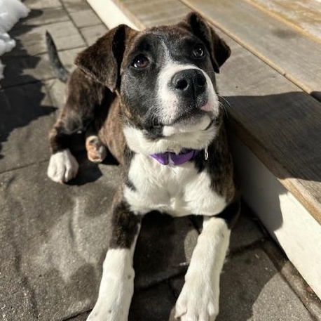 Bacardi Spirits — thumbnail 3