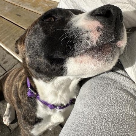 Bacardi Spirits — thumbnail 4