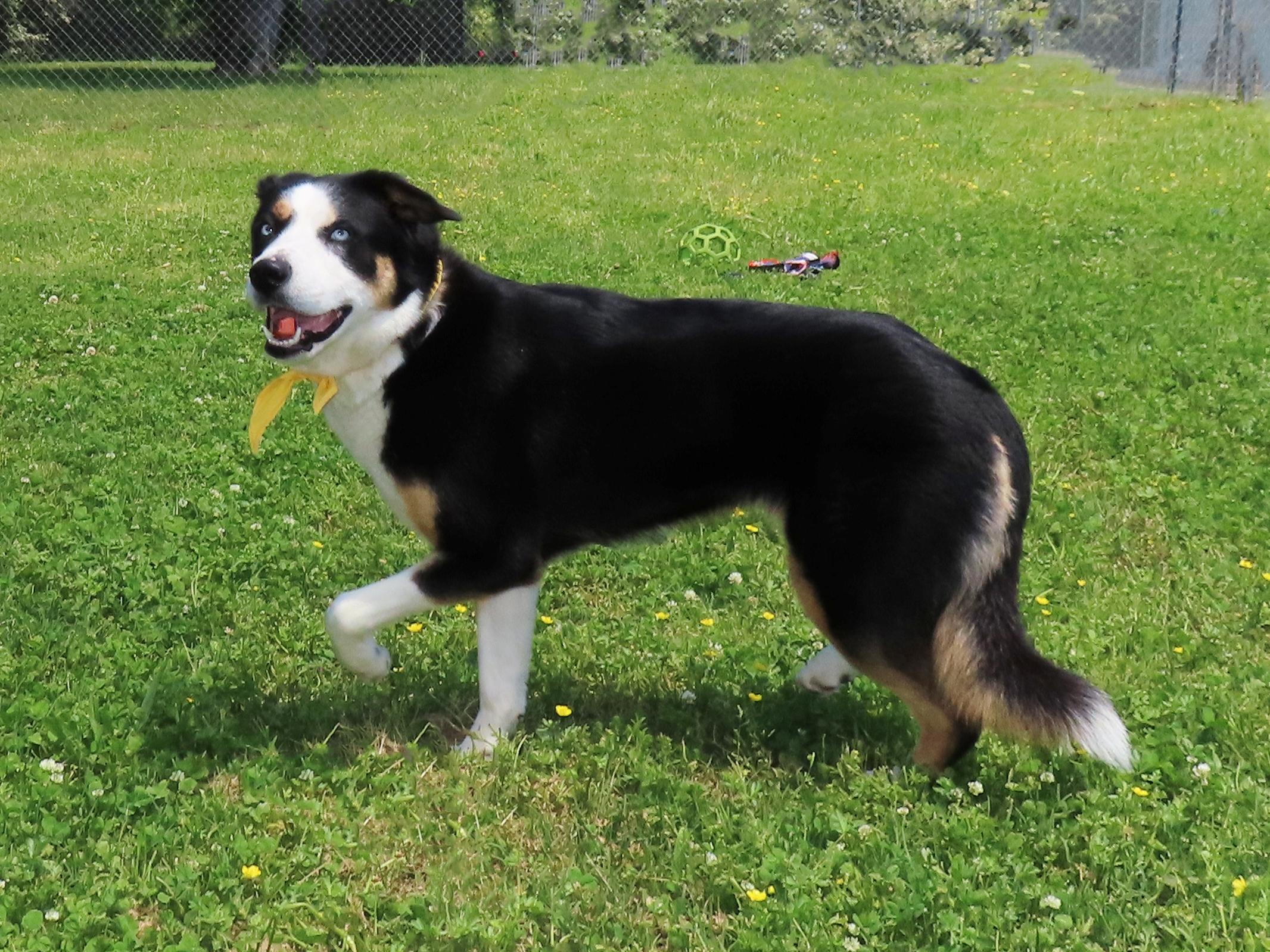 Heidi  7146 photo 3