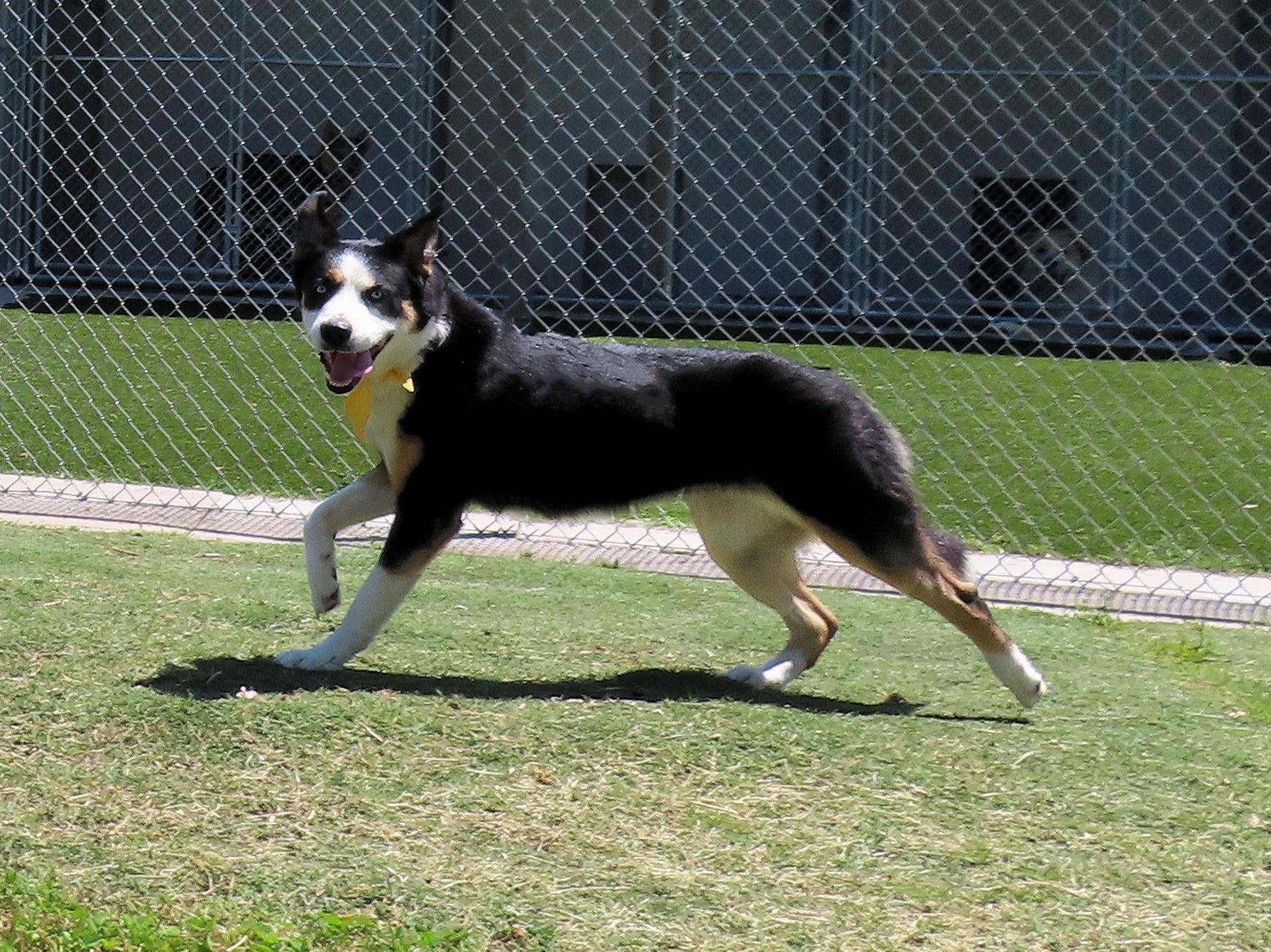 Heidi  7146 photo 5