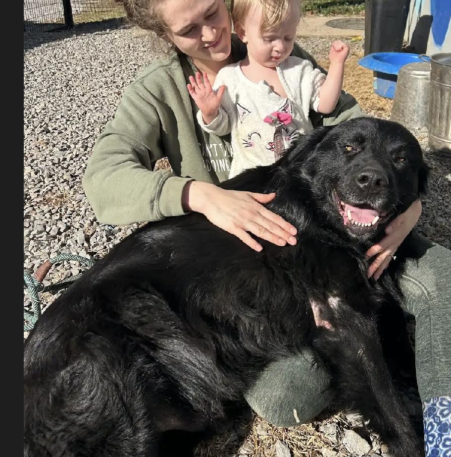 Lassiter — thumbnail 2