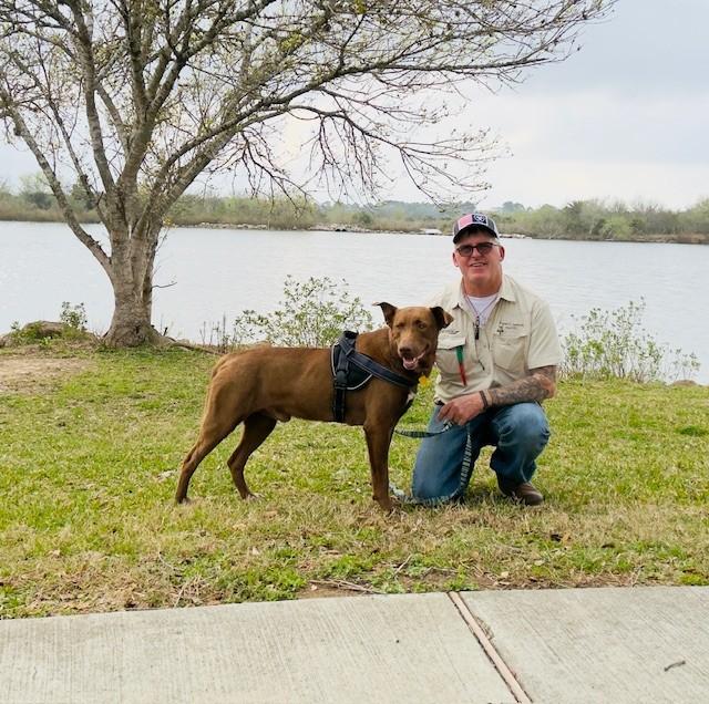 Enlarge C10-26 Ranger, an adoptable mixed breed in Nassau Bay, TX image 3/5