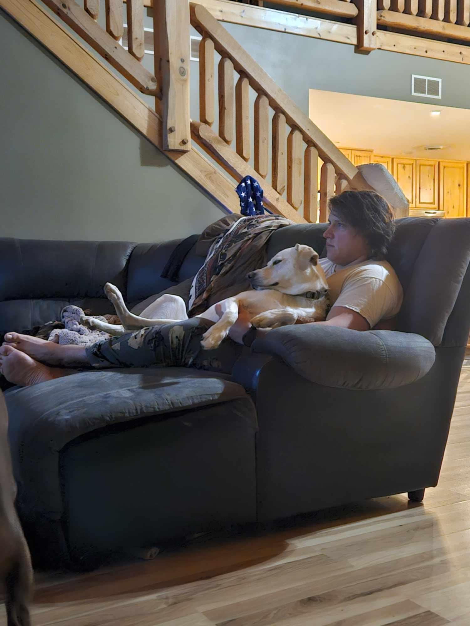 Enlarge Remi, a Adoptable mixed breed in Caledonia, MN image 1/5