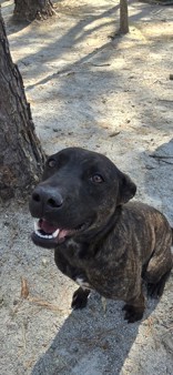 Maggie photo 2