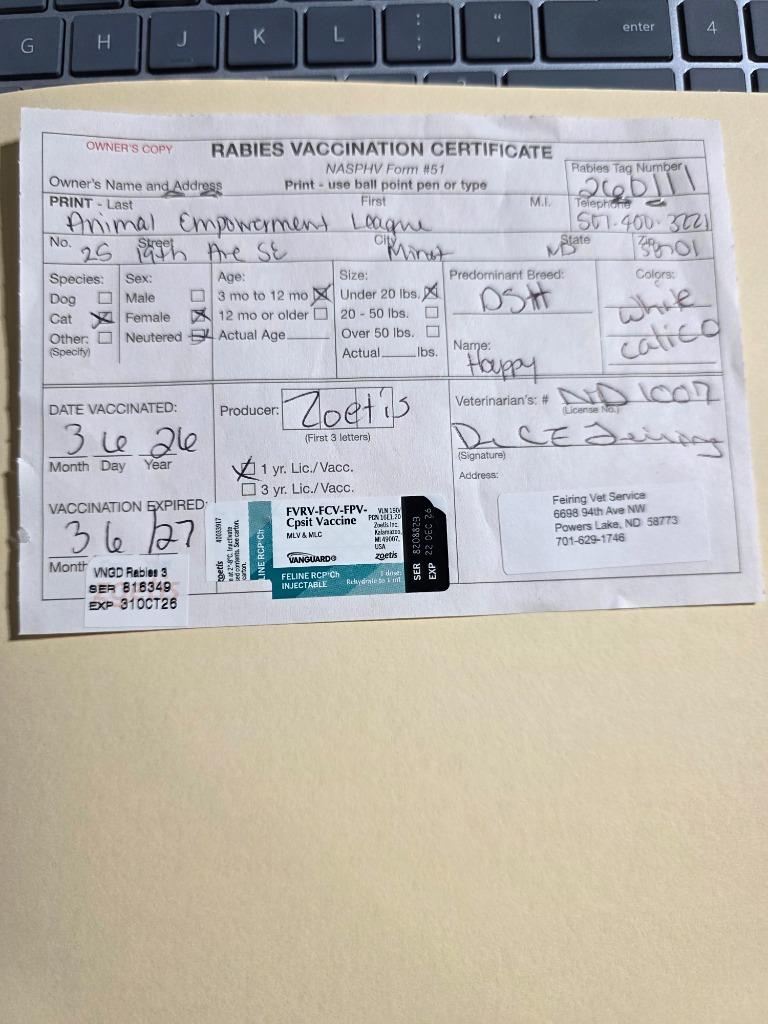 Enlarge Happy, a Adopted mixed breed in Minot, ND image 3/3