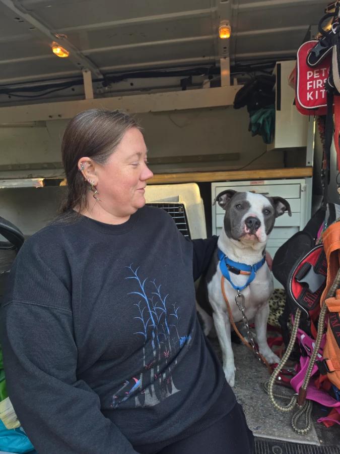 Enlarge Xena, a Adoptable Pit Bull Terrier in Elk, WA image 4/6