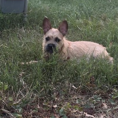 Buddy photo 2