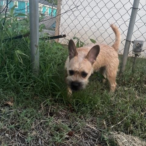 Buddy photo 3