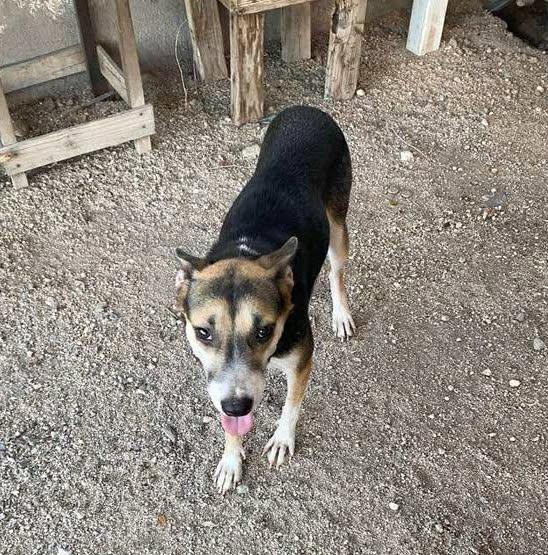 Nena (4) — thumbnail 1