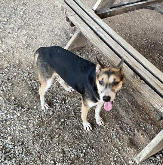 Nena (4) — thumbnail 3