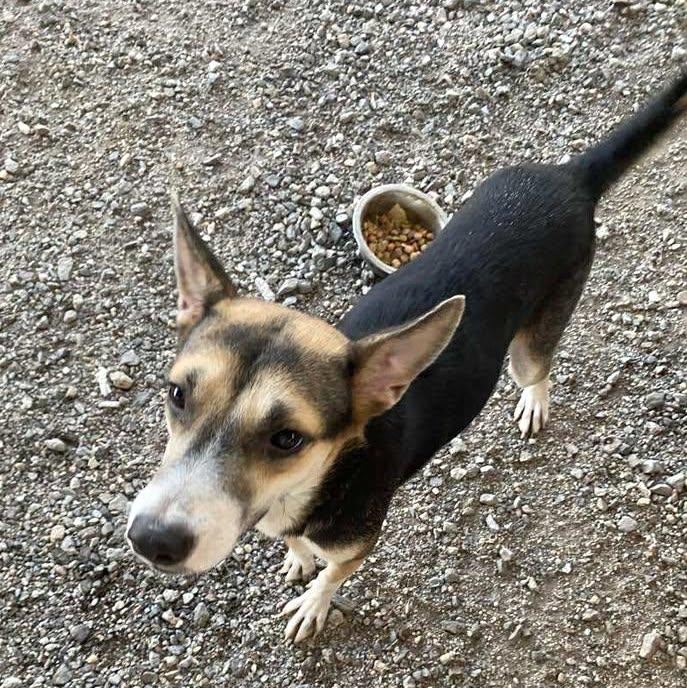 Nena (4) — thumbnail 5