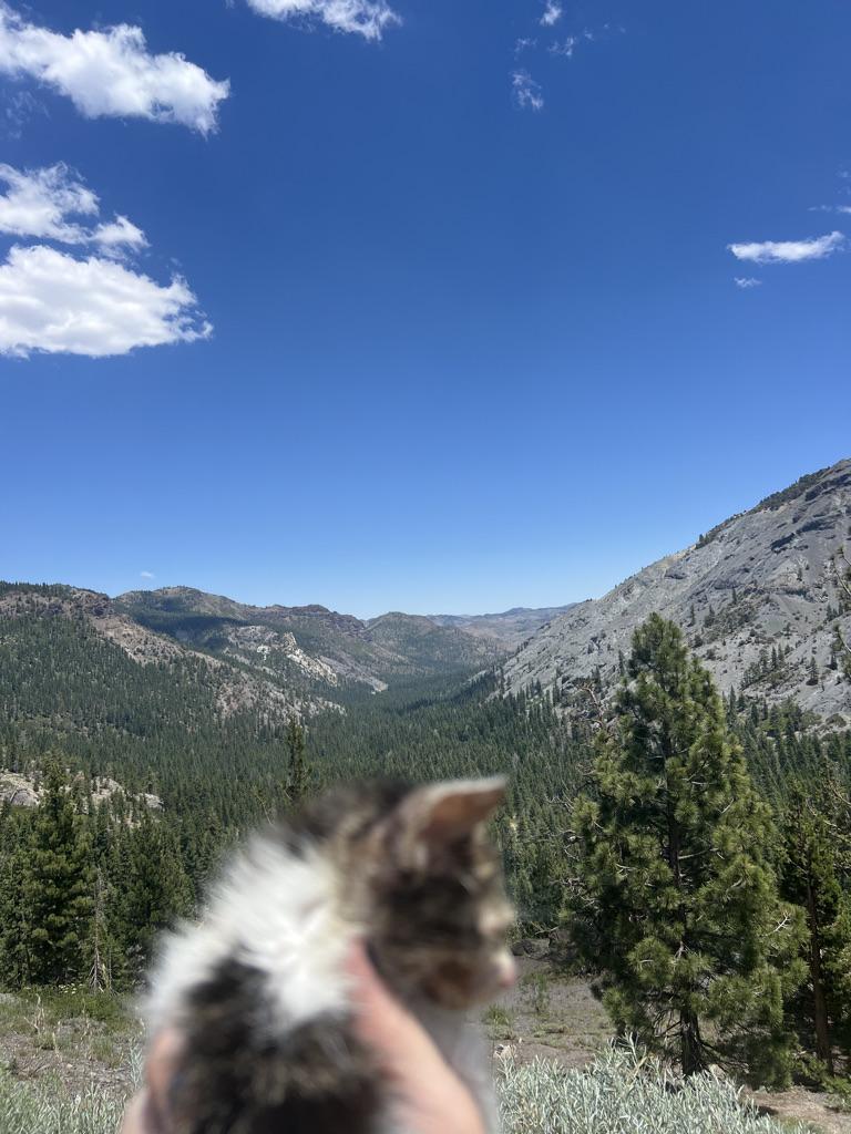 Dora photo 1
