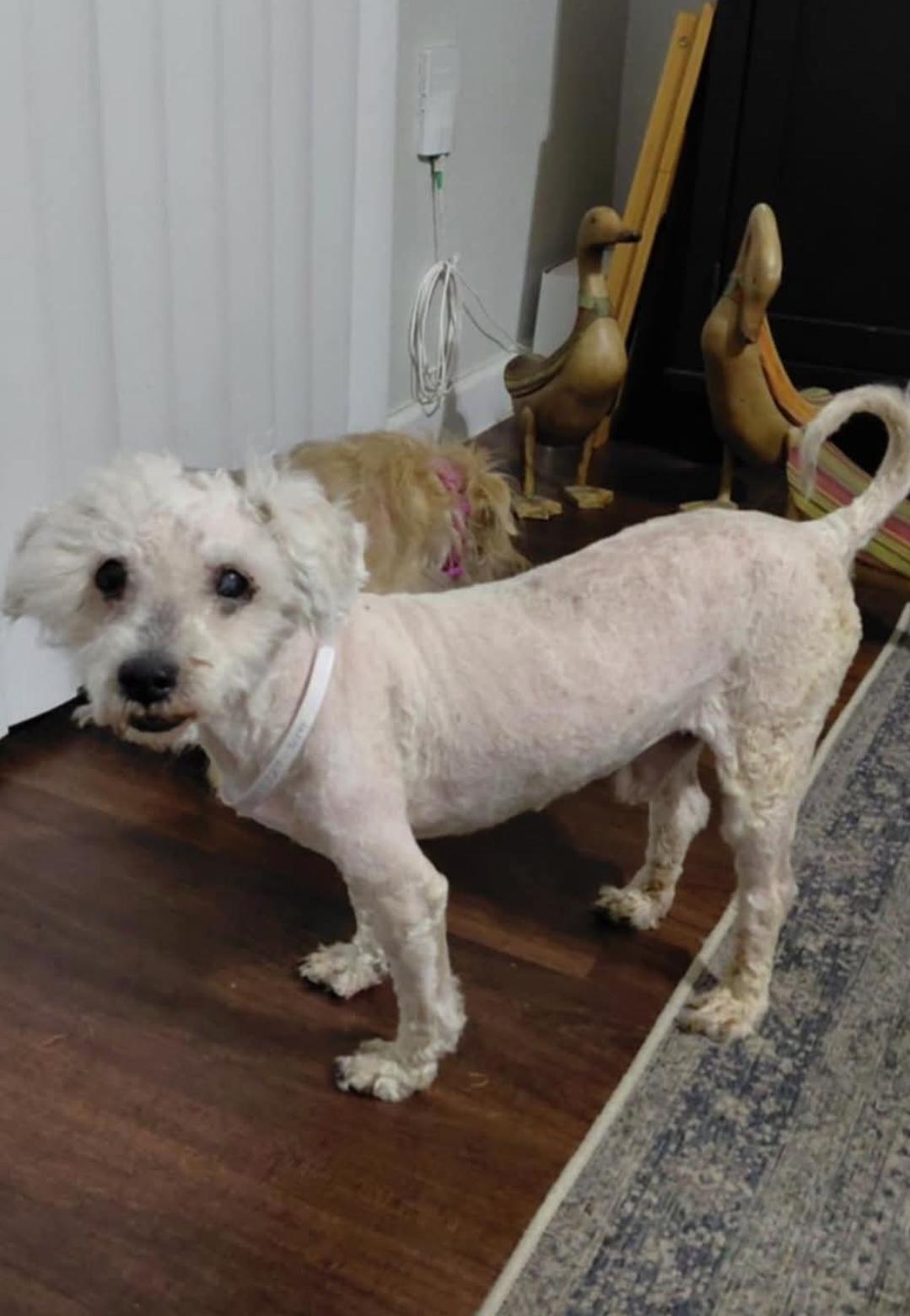 Eddie — thumbnail 5