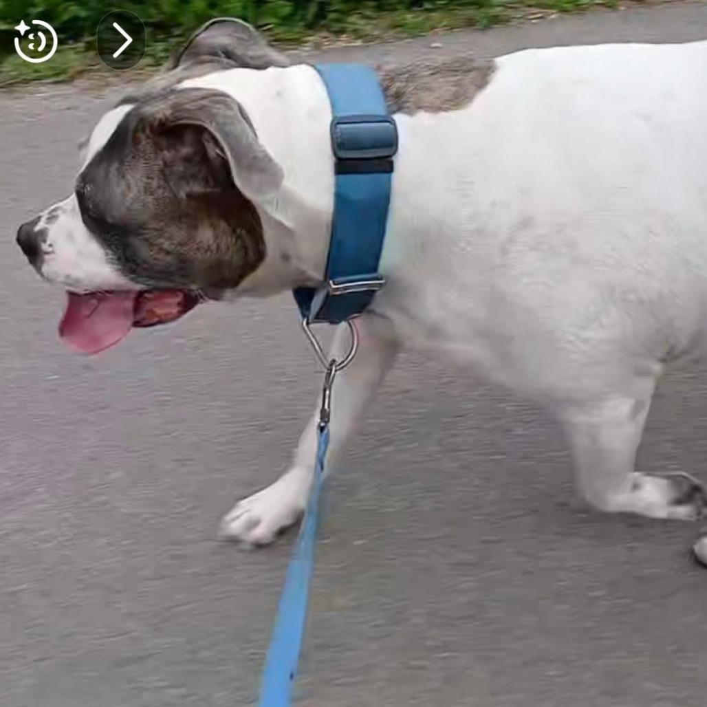 Maya  Home To thumbnail 3