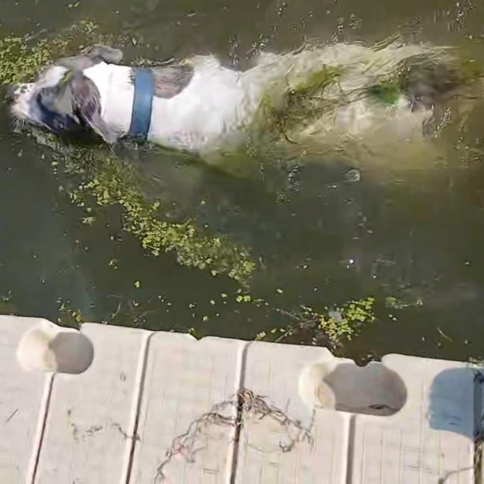 Maya  Home To thumbnail 5