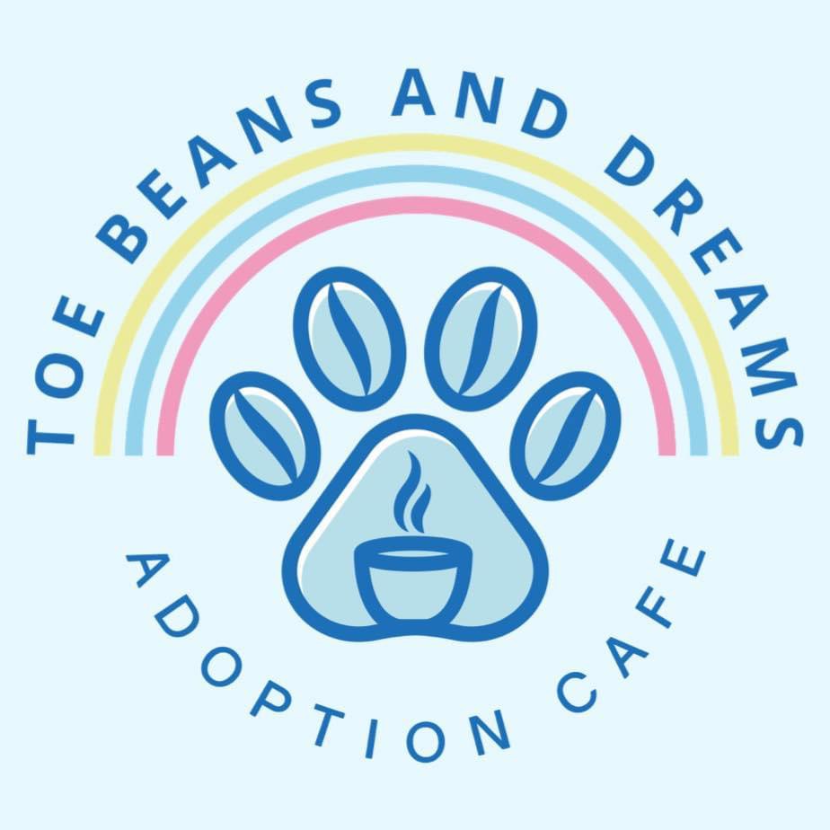 Enlarge Victor, a Adoptable Domestic Short Hair in Aiea, HI image 2/2