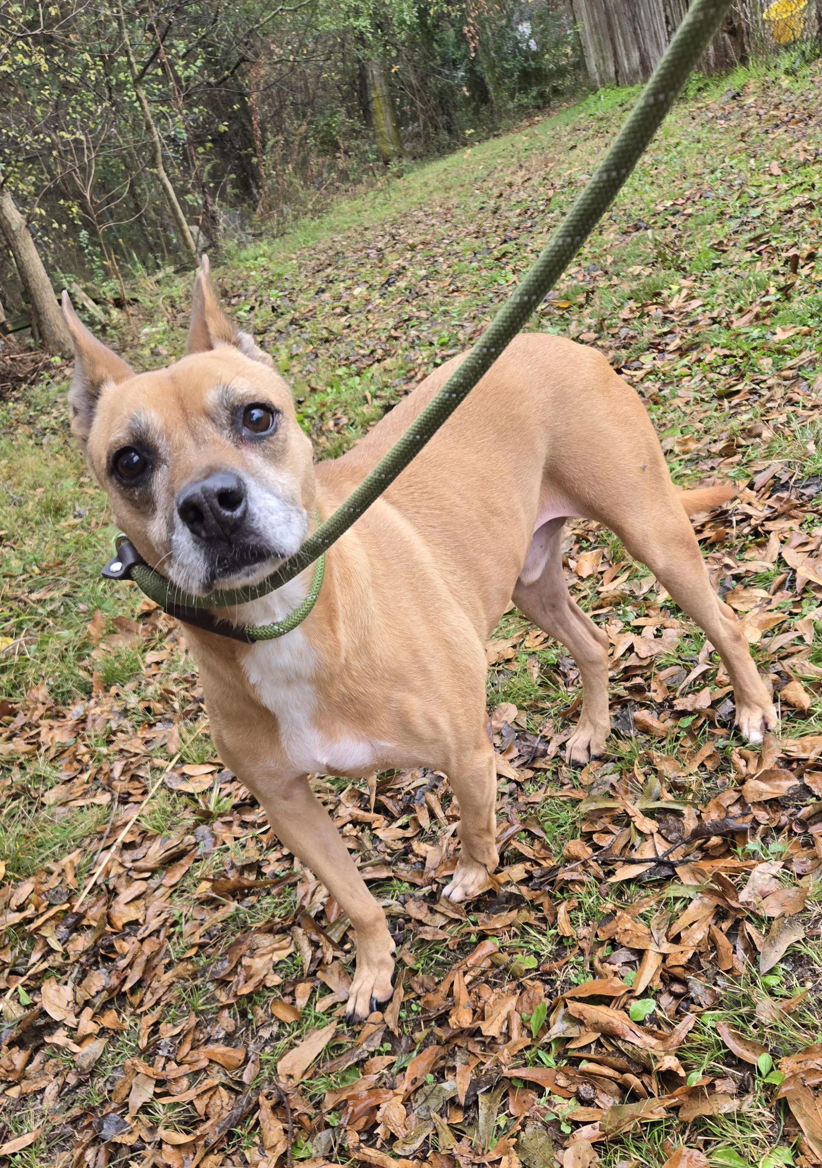 Nemo — thumbnail 2