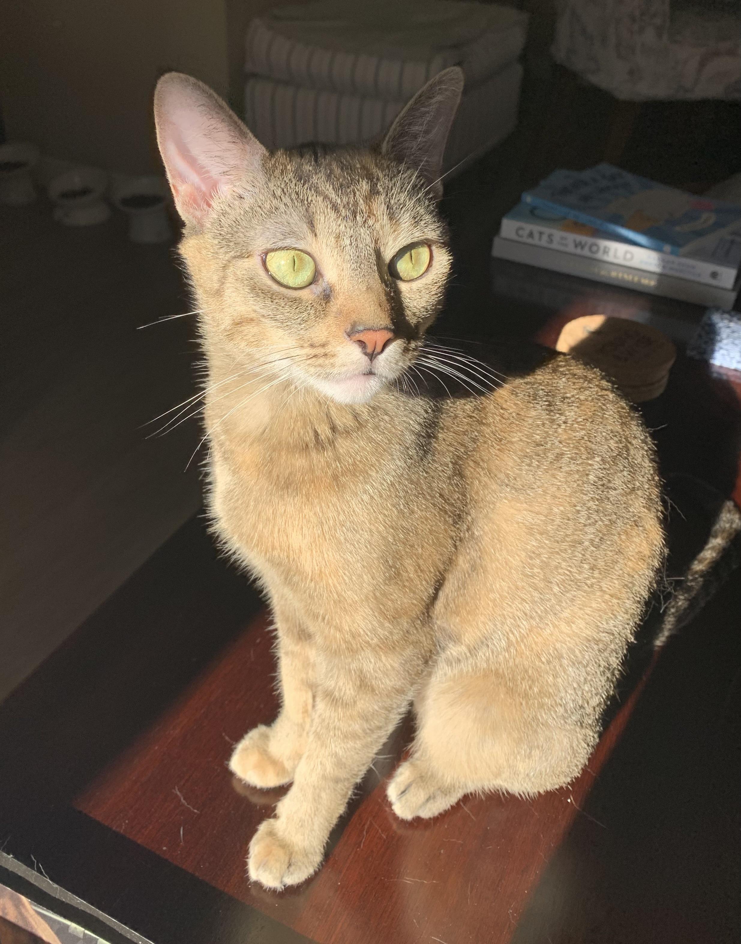 Olivia photo 2