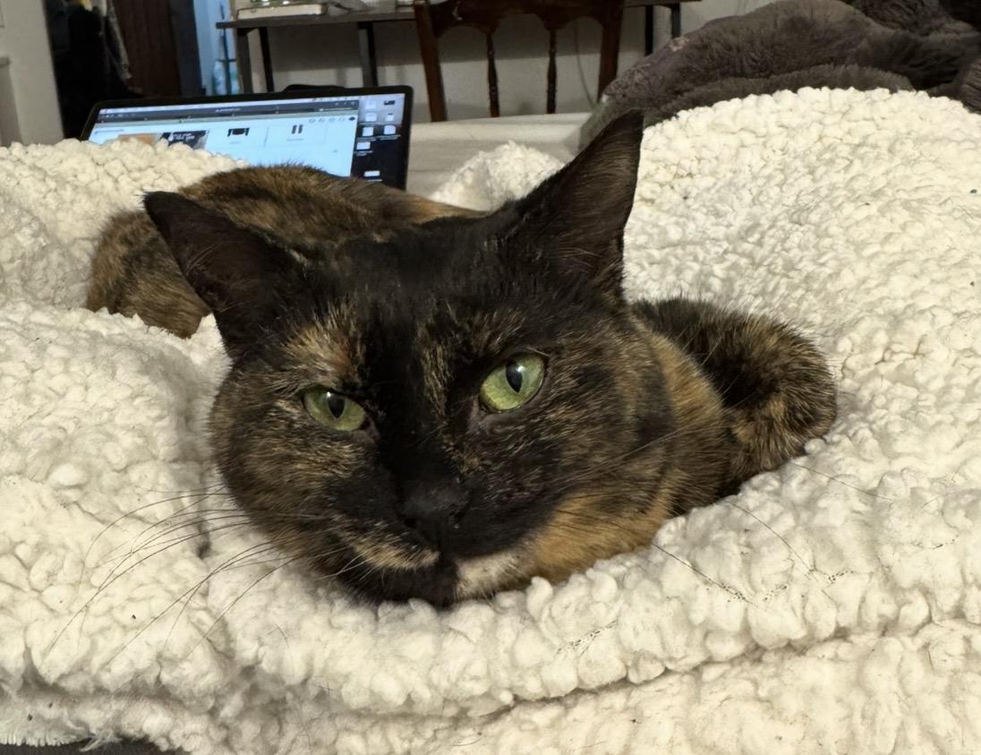 Charlotte — thumbnail 2