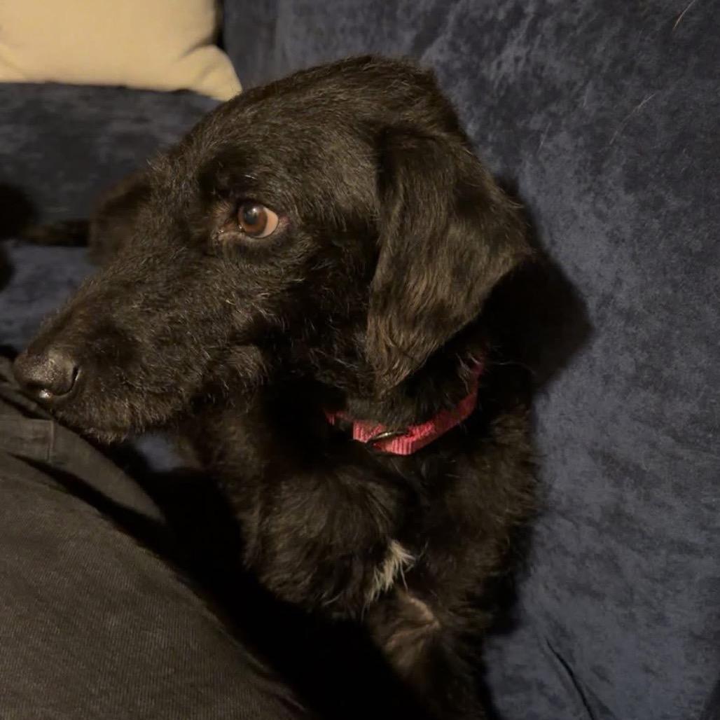 Daenerys thumbnail 4