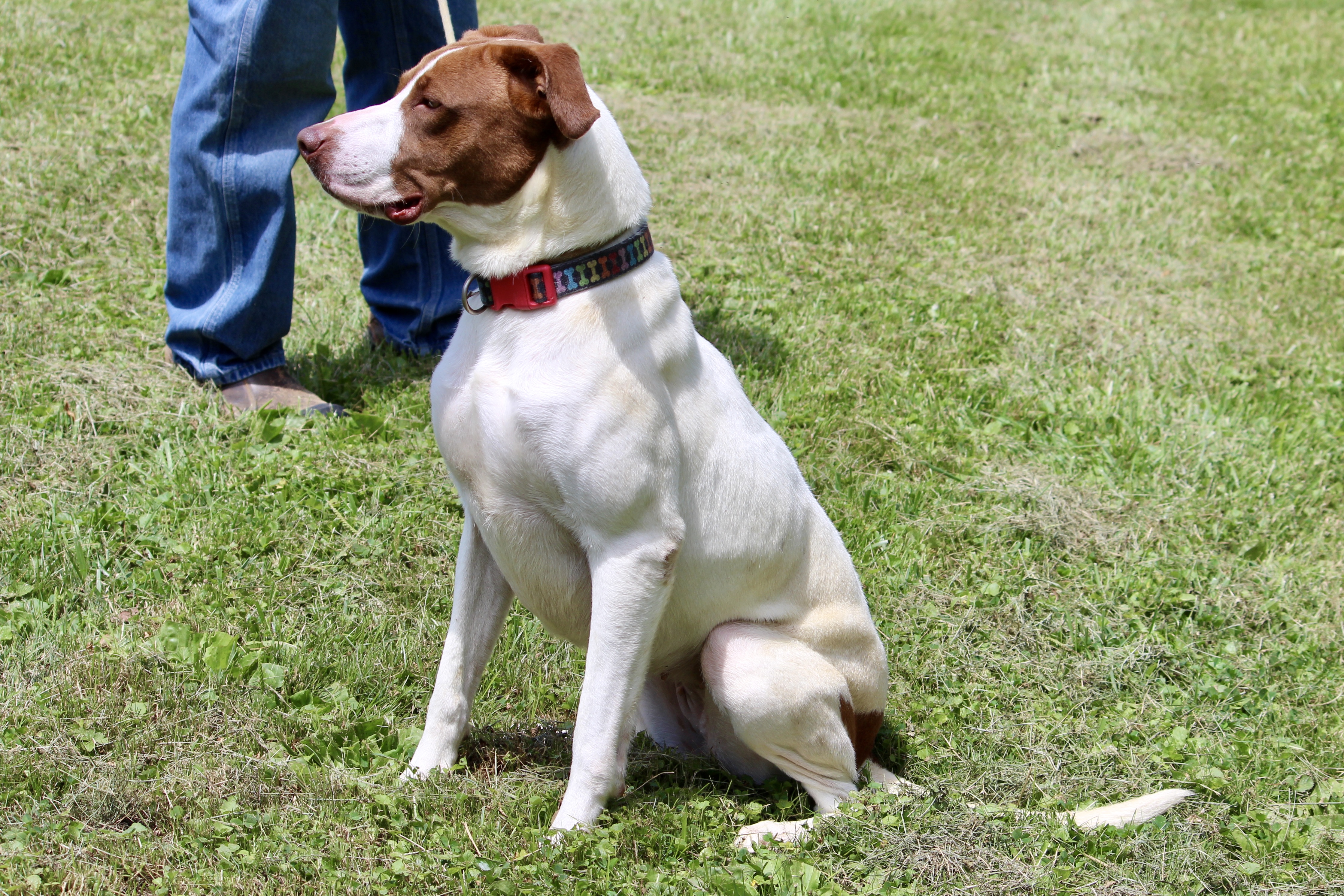 LILLITH — thumbnail 4