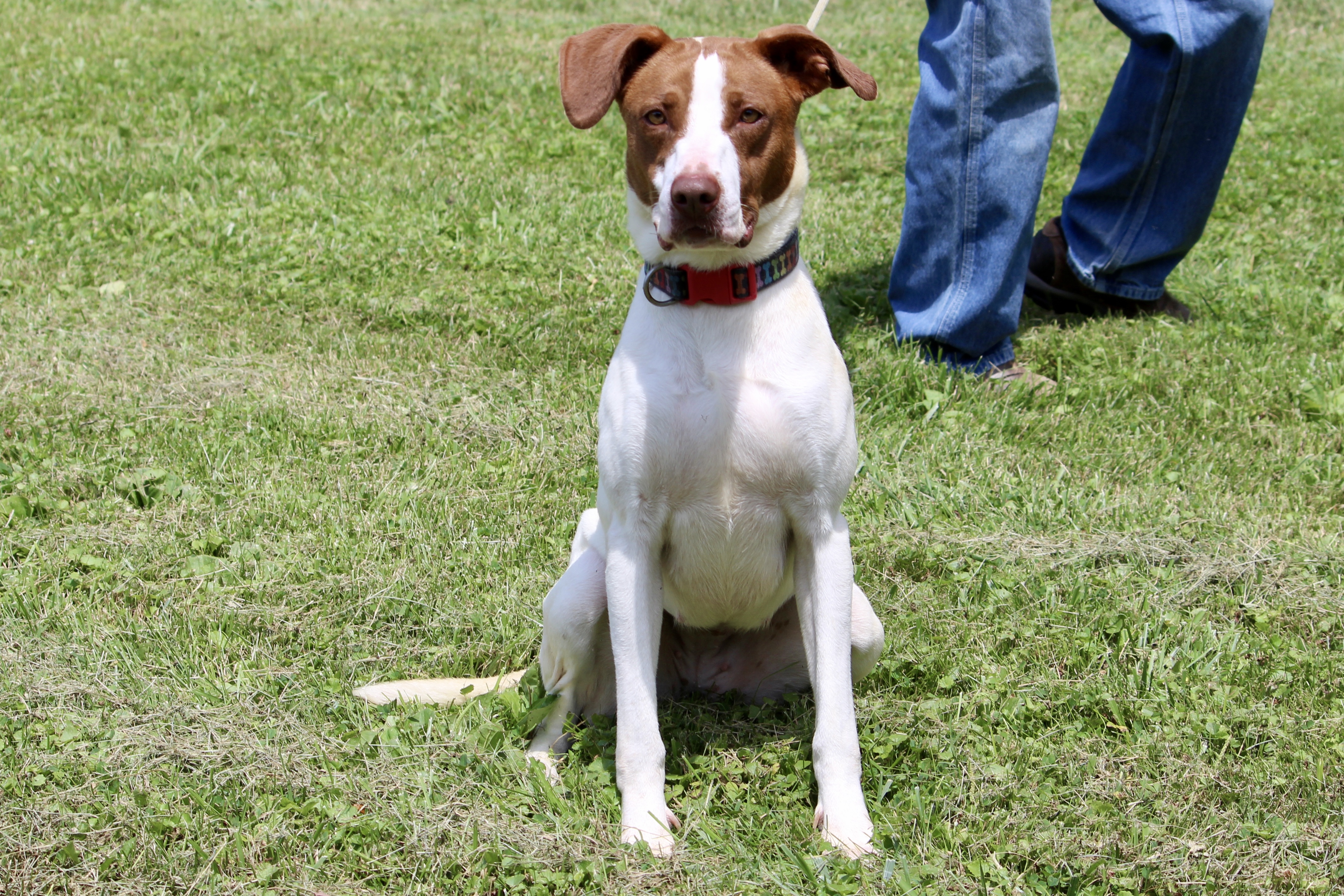 LILLITH — thumbnail 5