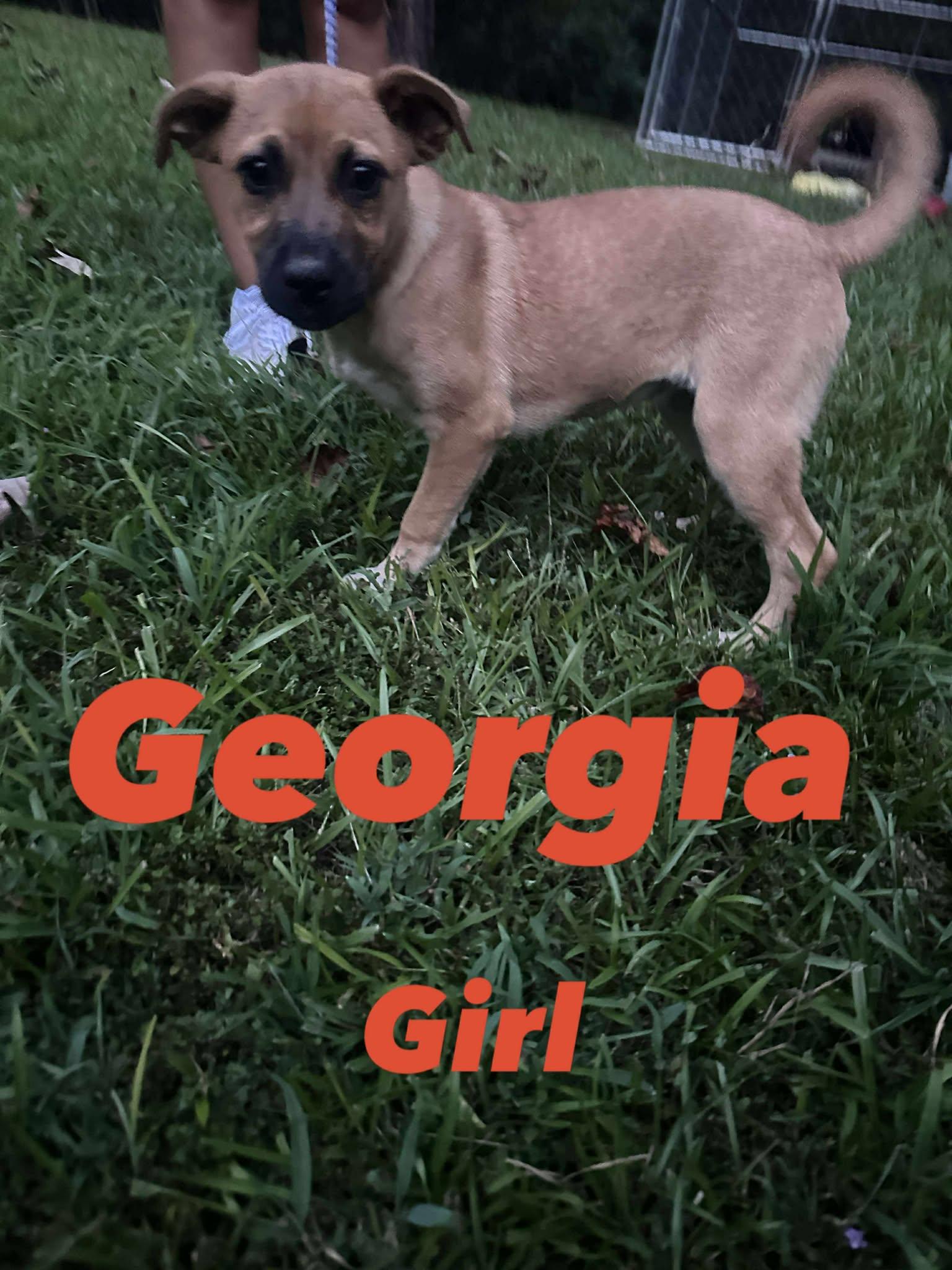 Georgia