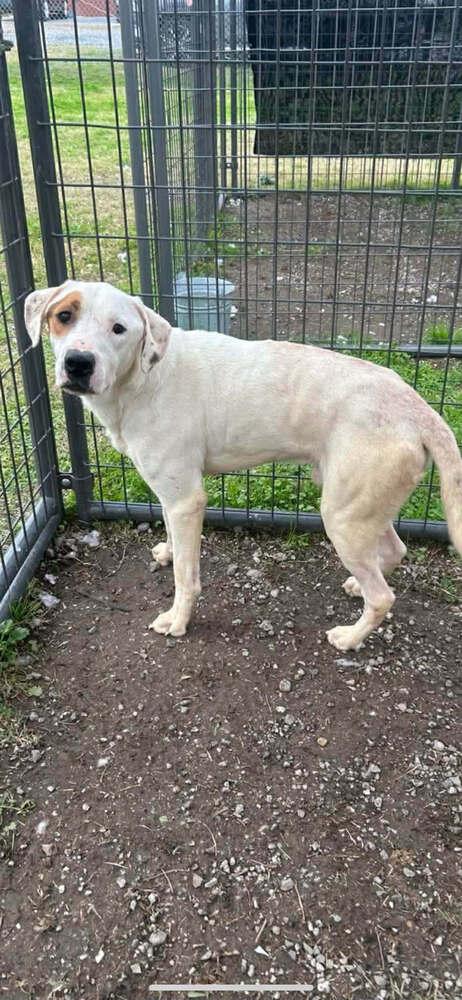 Glen — thumbnail 2