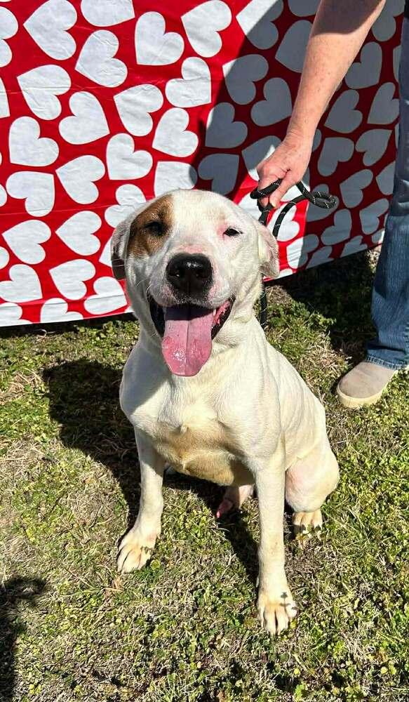 Glen — thumbnail 3