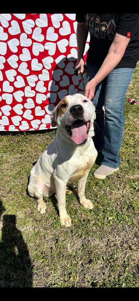 Glen — thumbnail 4