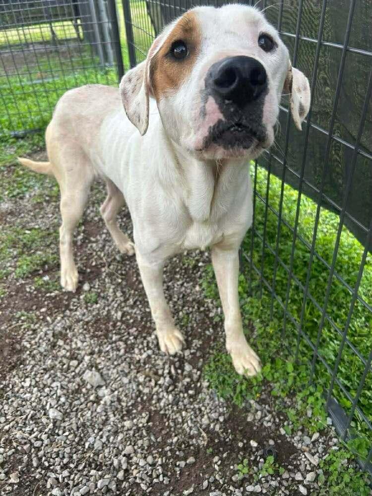 Glen — thumbnail 5