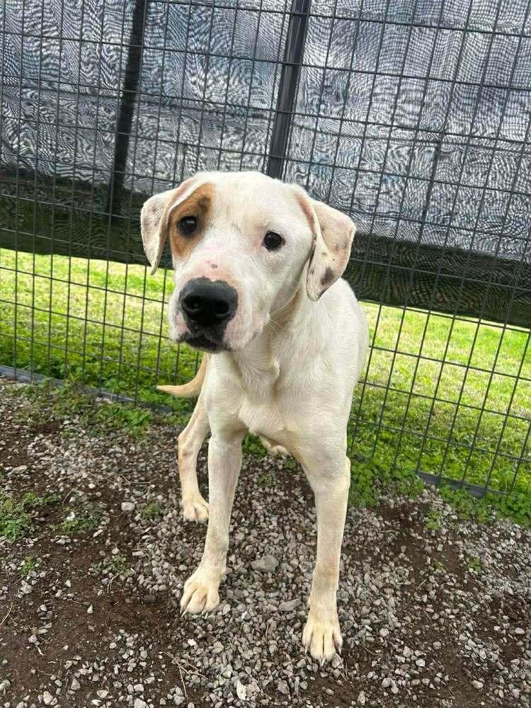 Glen — thumbnail 6