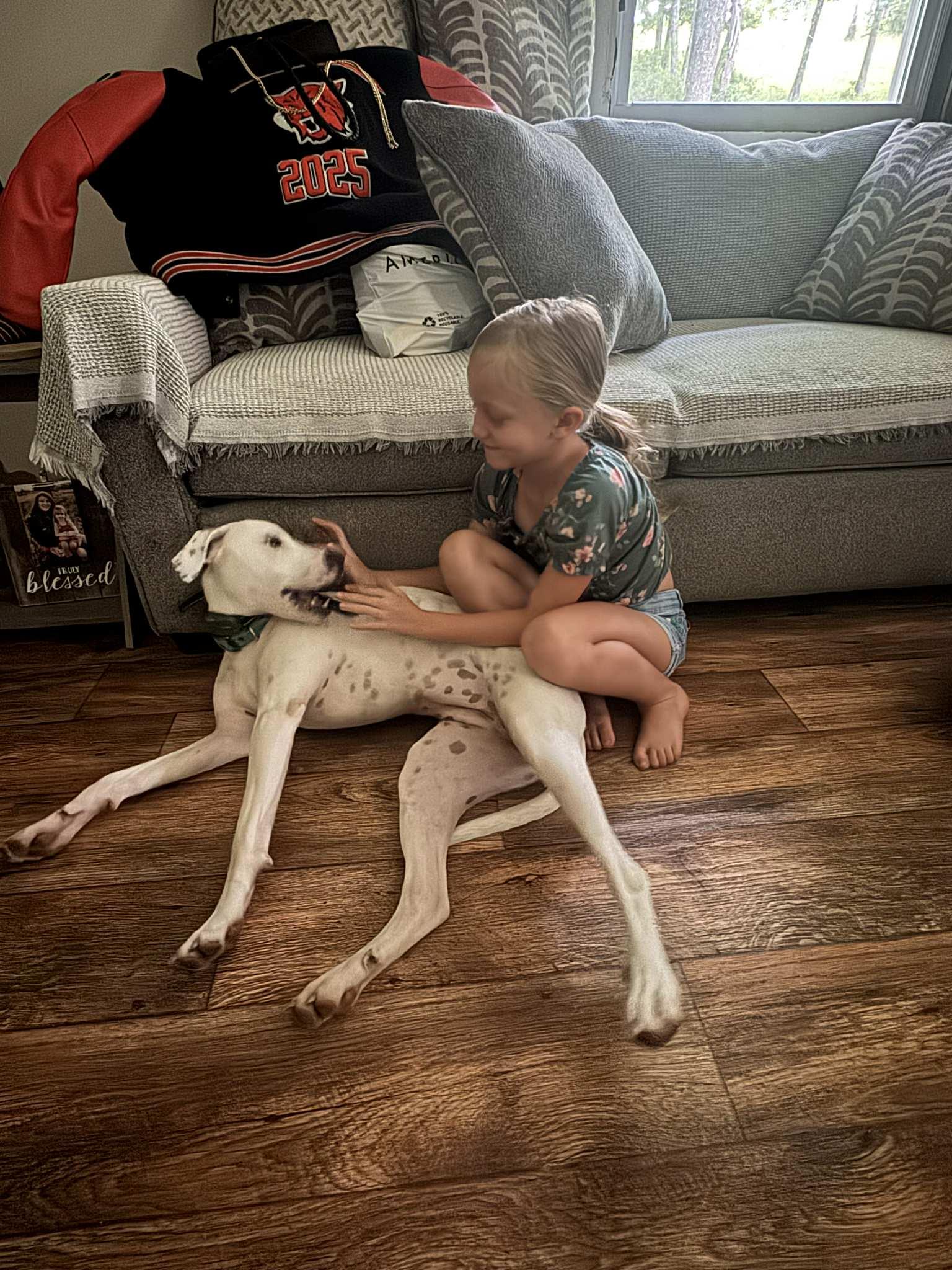 Enlarge Abby (1.5yo,50lbs), a Adoptable mixed breed in Hinton, WV image 1/3