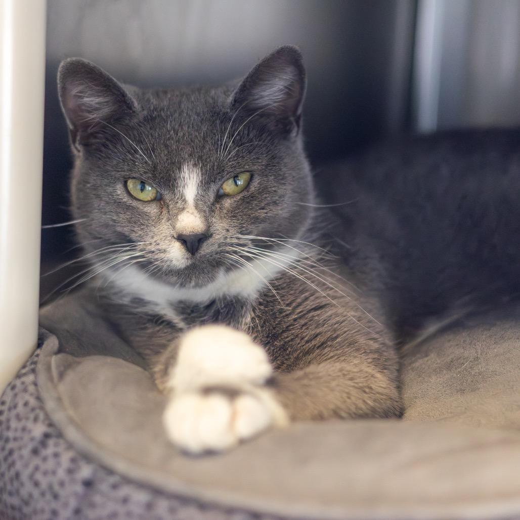 Cecelia — thumbnail 4