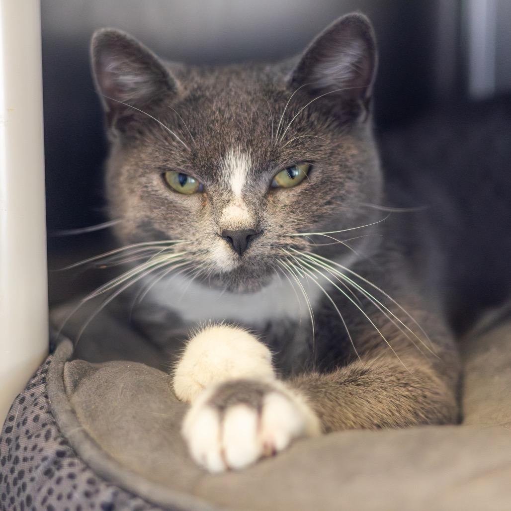 Cecelia — thumbnail 5