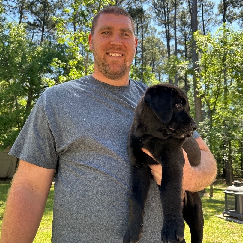 Kelce , an adopted mixed breed in magnolia, TX image 2/6