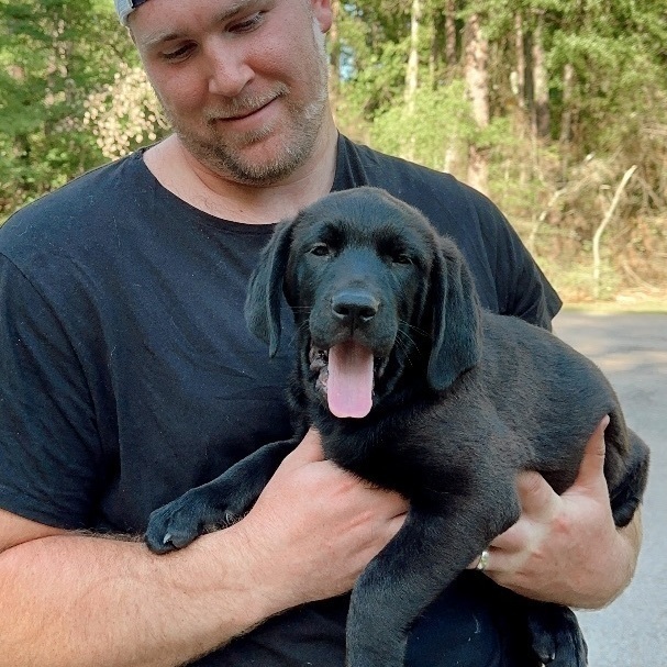 Kelce , an adopted mixed breed in magnolia, TX image 3/6