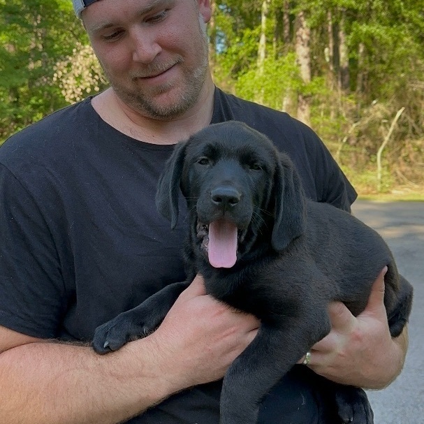 Kelce , an adopted mixed breed in magnolia, TX image 5/6