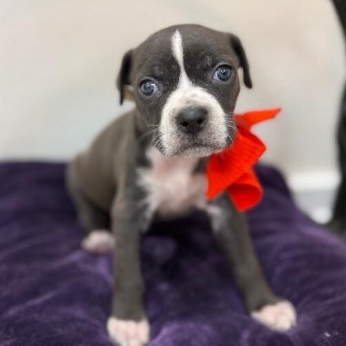 Mimi Love — thumbnail 2