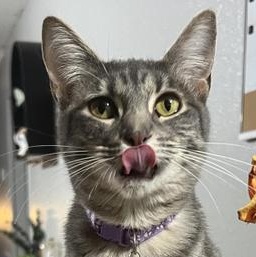 Pearl — thumbnail 3