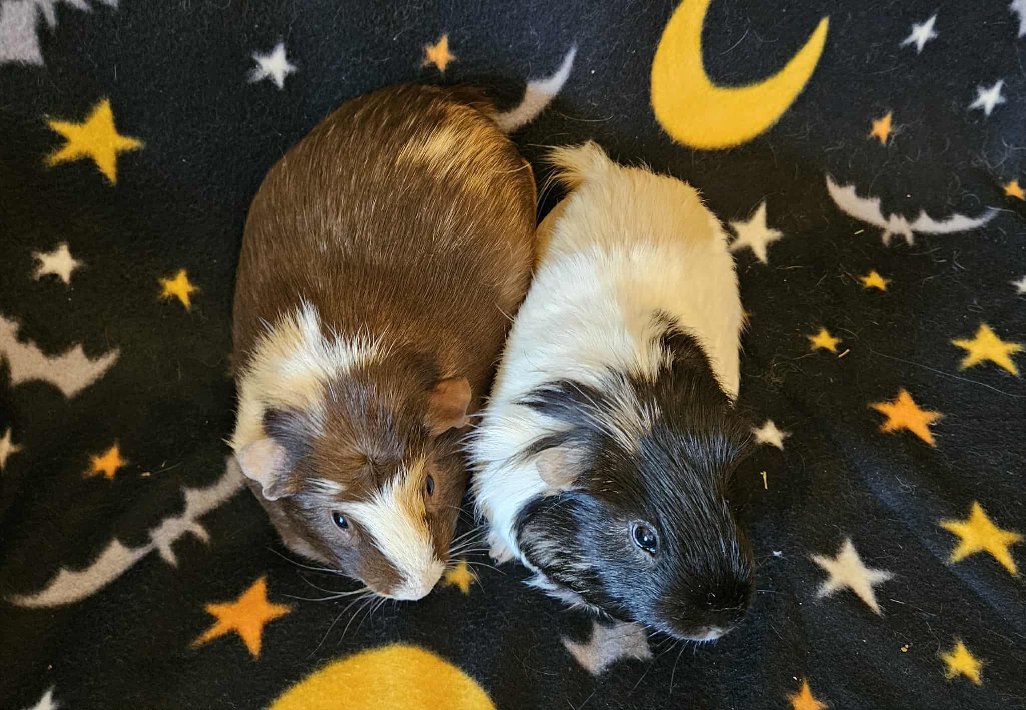 Benny&Bo