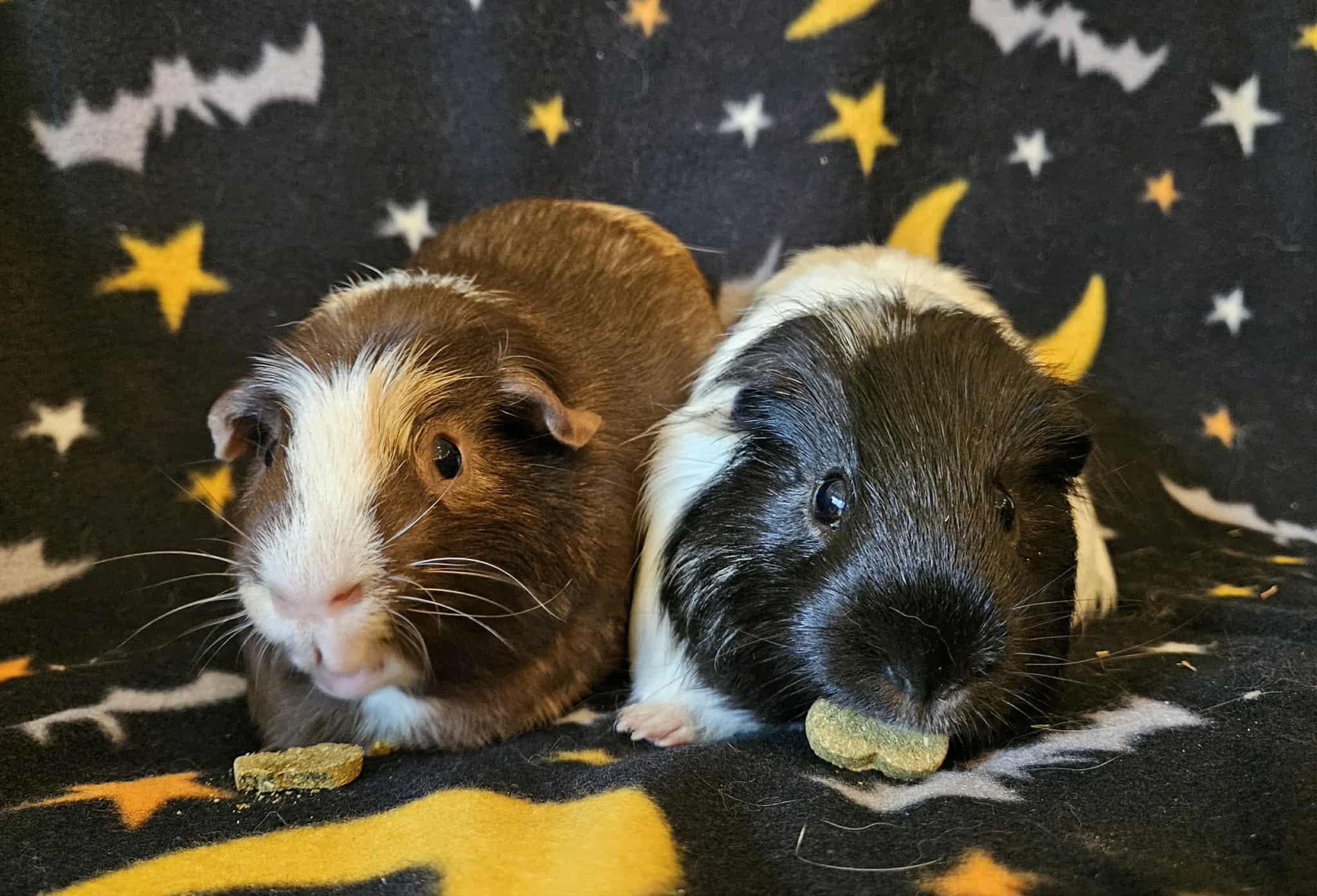 Benny&Bo