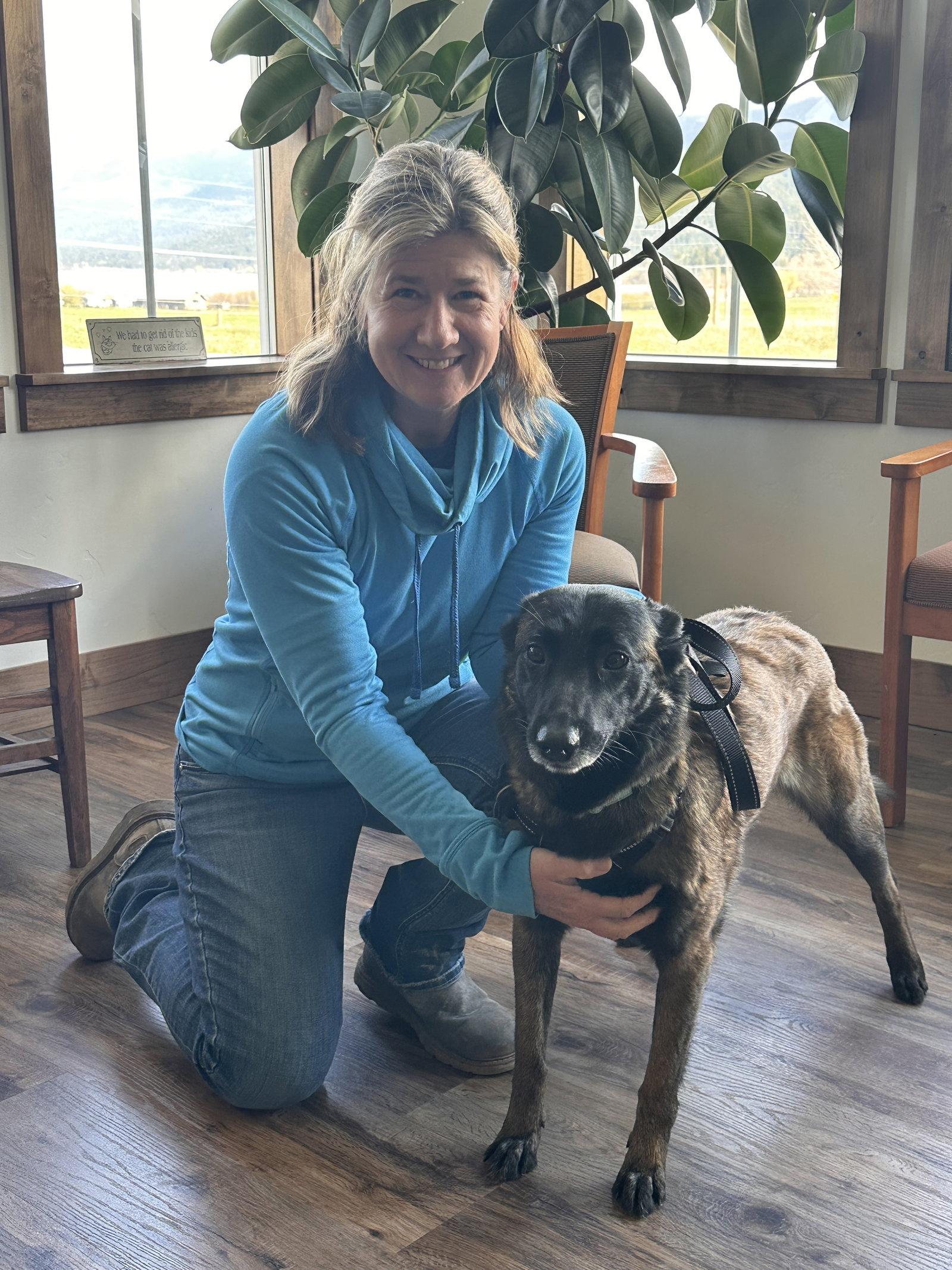 Kira, Adopted, Adult Female Belgian Shepherd / Malinois.