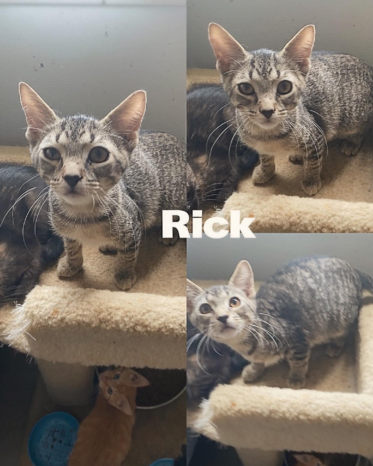Rick