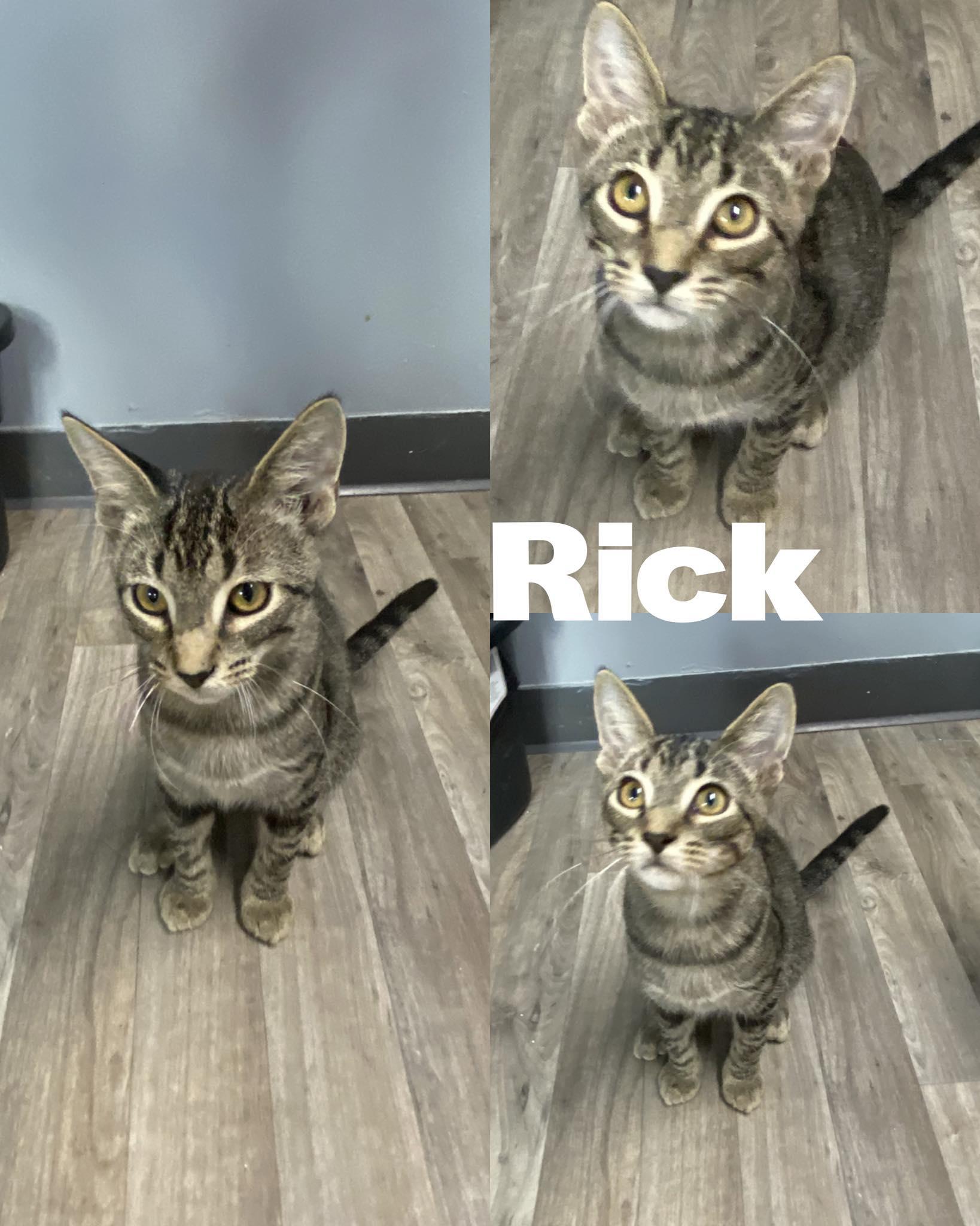 Rick